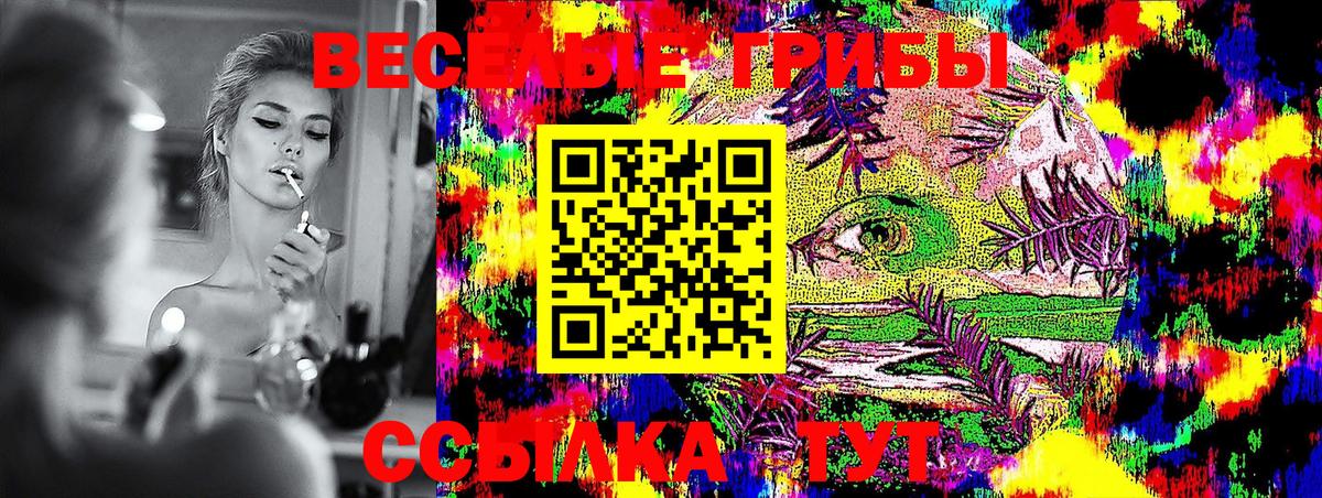 Галлюциногенные грибы мухоморы  Вход с VPN  Галлюциногенные грибы Psilocybine cubensis  Морозовск 